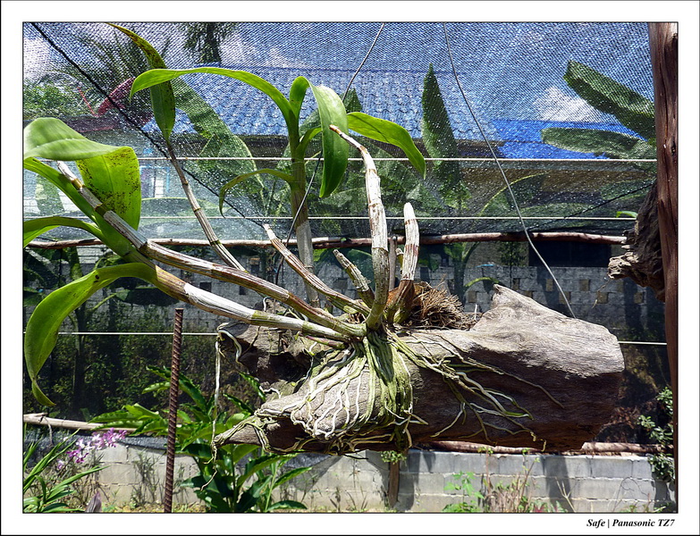 2012 - 03 - Koh Lanta 37